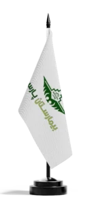 بیمارستان-پارس.webp